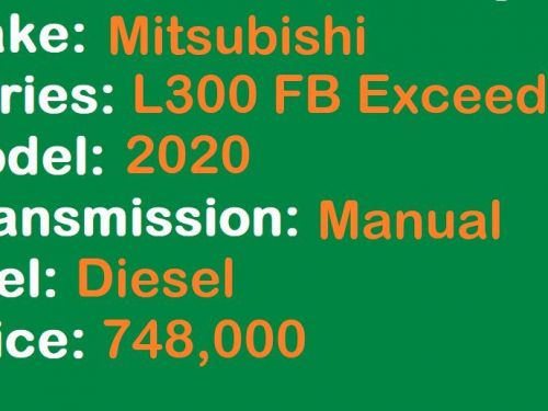 Mitsubishi L300 FB Body Lucena City in Philippines