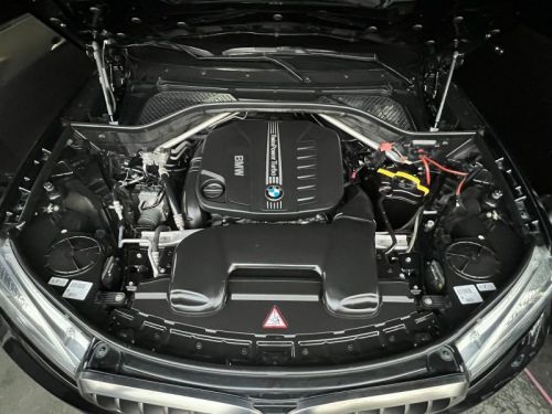 BMW X6 xDrive 30d Pure Extravagance F16 in Philippines