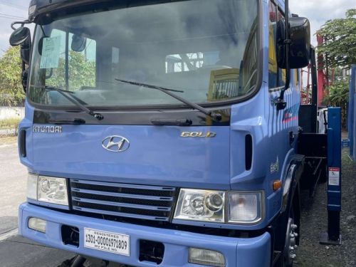 Hyundai BOOM TRUCK in Philippines