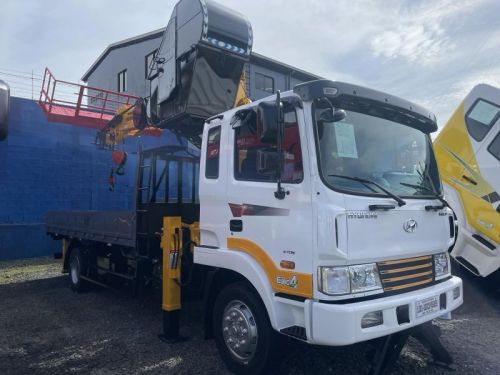 Hyundai BOOM TRUCK in Philippines