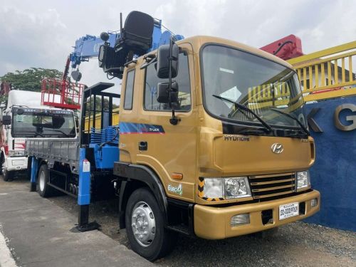 Hyundai BOOM TRUCK in Philippines