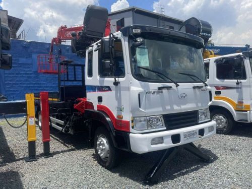 Hyundai BOOM TRUCK in Philippines