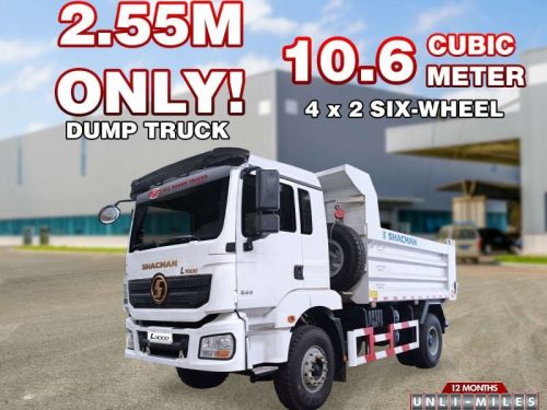 Shacman Shacman SX3188MK401C L3000 in Philippines
