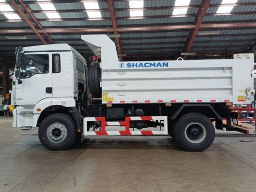 Shacman Shacman SX3188MK401C L3000 in Philippines