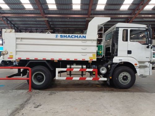 Shacman Shacman SX3188MK401C L3000 in Philippines