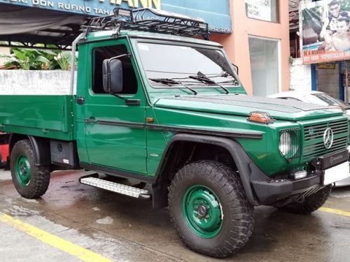 Mercedes-Benz 250GD in Philippines