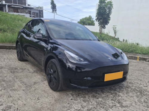 TESLA Y in Philippines